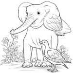 Elefant und Vogel Ausmalbild und Malvorlage