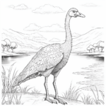 Gallimimus trinkt Wasser Ausmalbild und Malvorlage