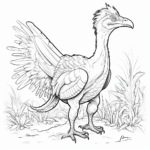 Gefiederter Dromaeosaurus Ausmalbild und Malvorlage