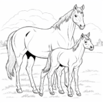 Pferd mit seinem Jungen Ausmalbild und Malvorlage
