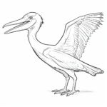 Pterodactylus mit langem Schnabel Ausmalbild und Malvorlage