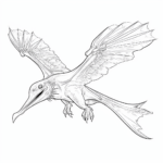 Pterodactylus verliert eine Feder Ausmalbild und Malvorlage