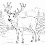 Rentier im Schnee Ausmalbild und Malvorlage