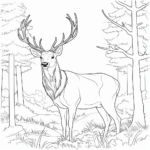 Rentier versteckt sich im Wald Ausmalbild und Malvorlage