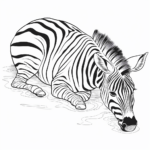 Schlafendes Zebra Ausmalbild und Malvorlage