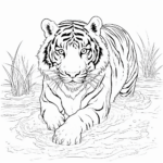 Tiger im Wasser Ausmalbild und Malvorlage