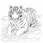 Wasserliebender Tiger Ausmalbild und Malvorlage