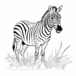 Zebra genießt Gras Ausmalbild und Malvorlage