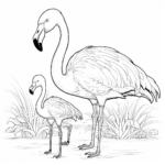 Flamingo füttert einen Babyflamingo Ausmalbild und Malvorlage