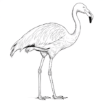 Flamingo wärmt sich auf einem Bein Ausmalbild und Malvorlage