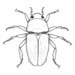 Käfer mit Flügeln Ausmalbild und Malvorlage