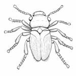 Käfer mit gebogenen Antennen Ausmalbild und Malvorlage