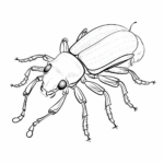 Käfer mit gebogenen Fühlern Ausmalbild und Malvorlage