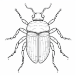 Käfer mit langen Antennen Ausmalbild und Malvorlage
