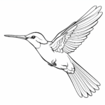 Kolibri flattert mit den Flügeln Ausmalbild und Malvorlage