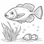 Schwamm in Fischschwarm Ausmalbild und Malvorlage