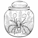 Zebraspinne im Terrarium Ausmalbild und Malvorlage