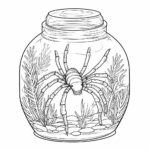 Zebraspinne lebt in einem Terrarium Ausmalbild und Malvorlage